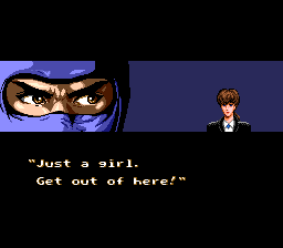 Ninja Gaiden Trilogy